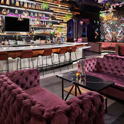 قیمت خوب Velvet Purple Club Lounge Sofa Classic Button Tufting Bistro Sofa آنلاین